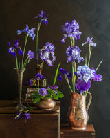 Irises