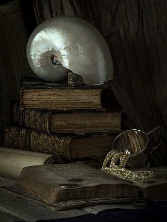 Still Life With Nautilus Shell And Silver Cup