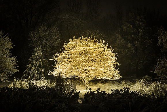 December Snowfall