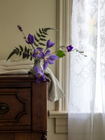 Autumn Crocus at the Farmhouse