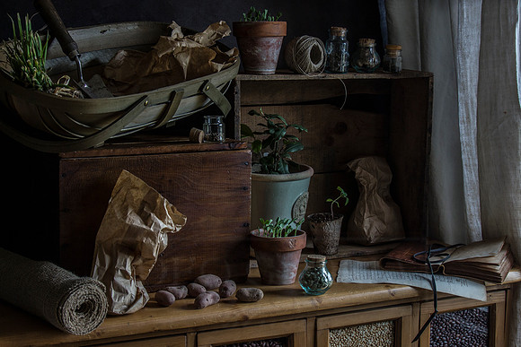 The Potting Shed