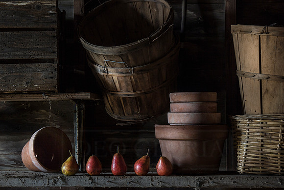 Five Pears On A Shelf