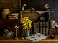 The Botanist