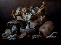 Still Life With Mushrooms