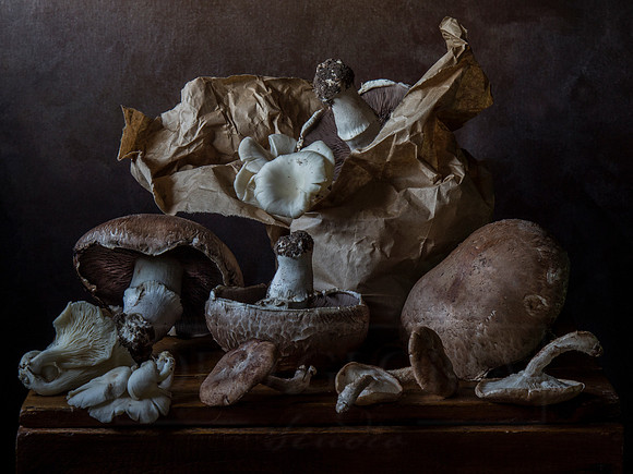 Still Life With Mushrooms