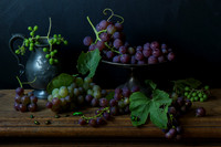 Study of Grapes